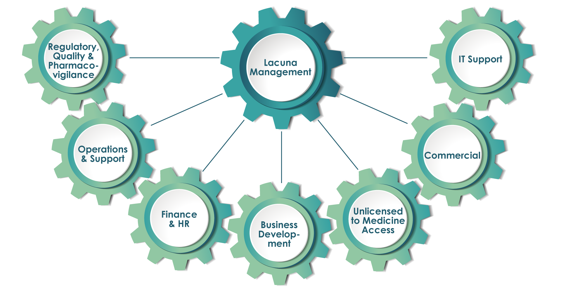 lacuna pharma Governance-Structure_2