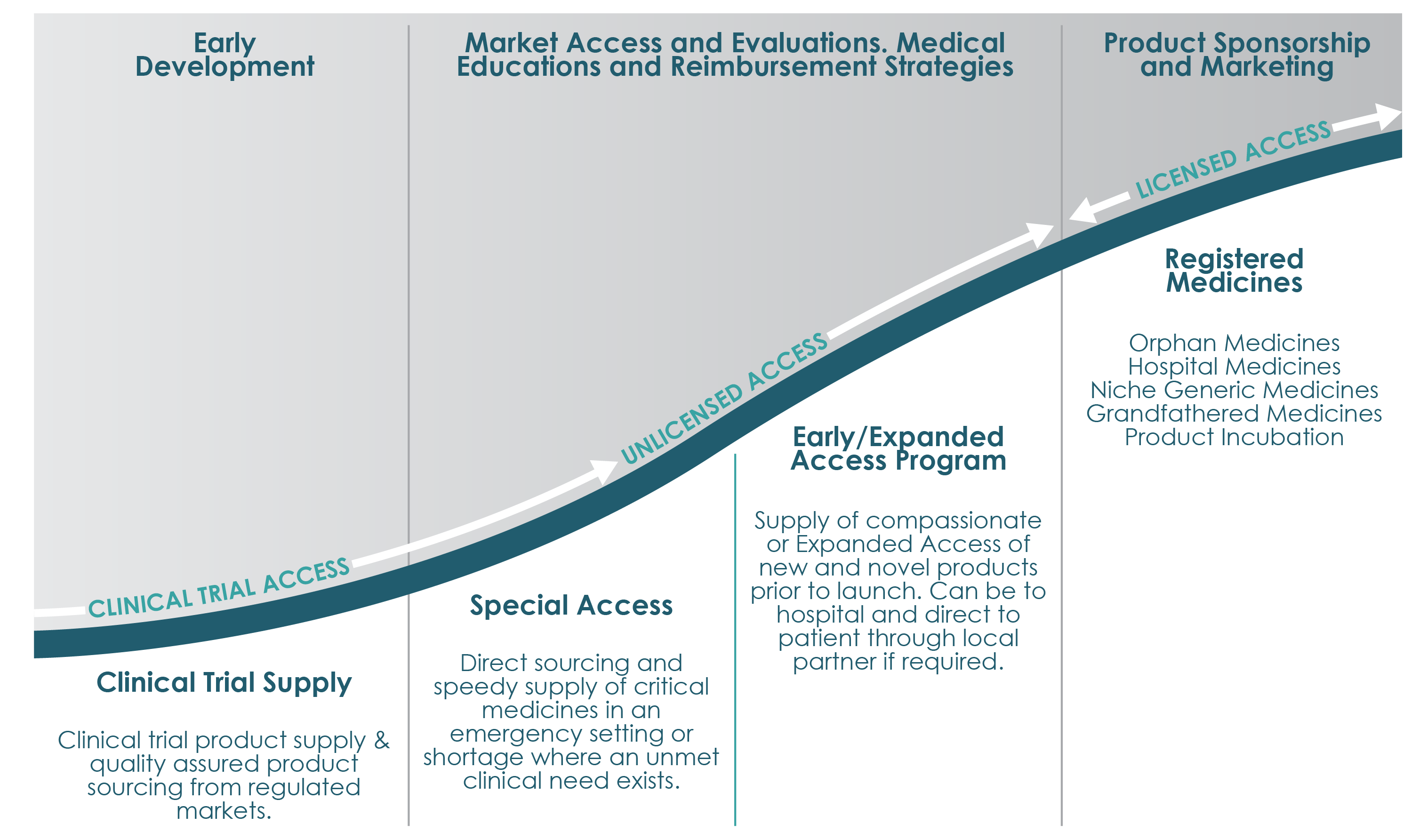 lacuna pharma Product Lifecycle_2-01