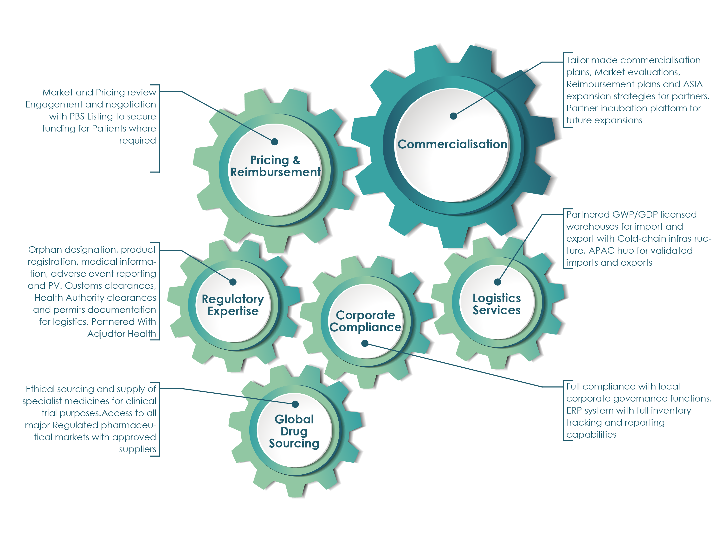 lacuna pharma Services & Capabilities-01